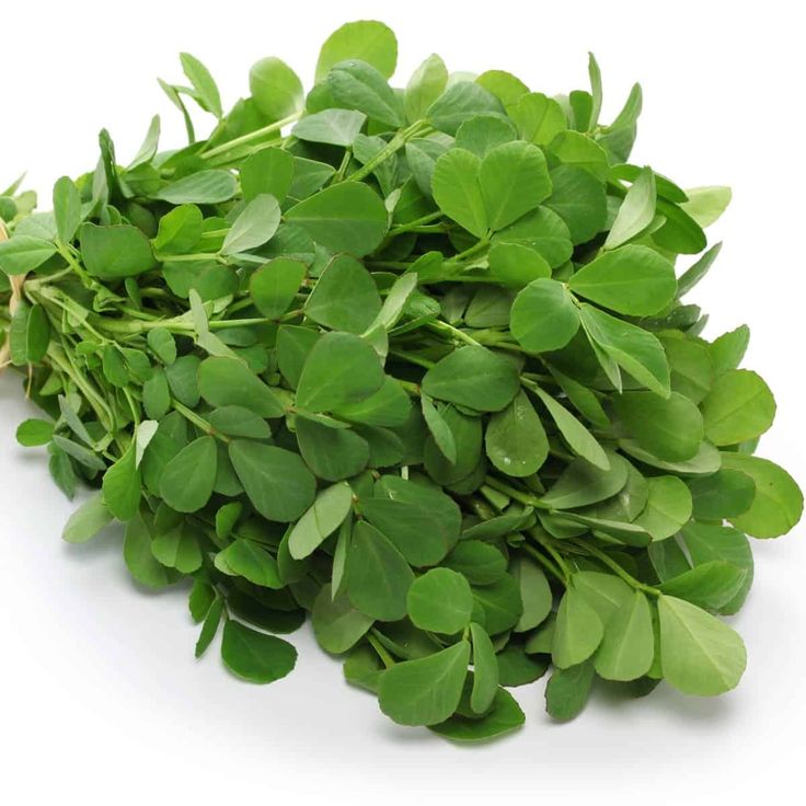 Fenugreek(Methi)