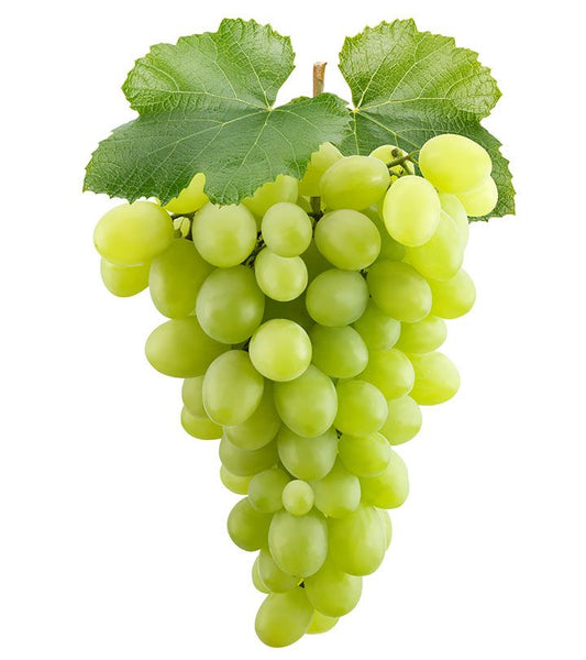 Grapes(Angor)