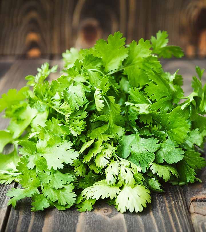 Coriander(Dhania)