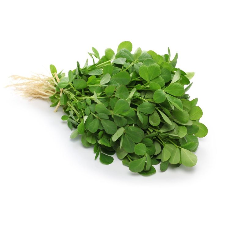 Fenugreek(Methi)