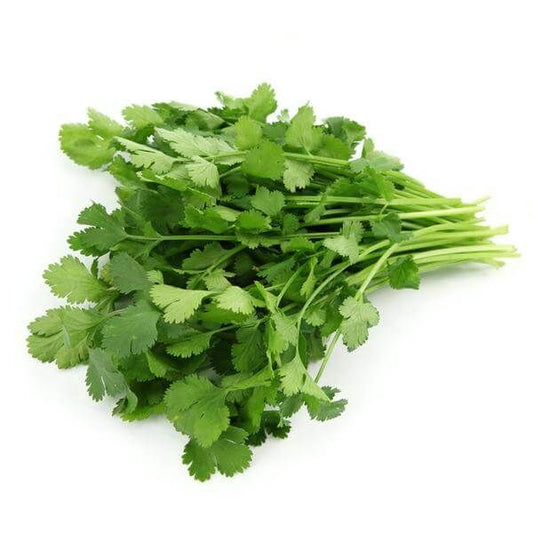 Coriander(Dhania)