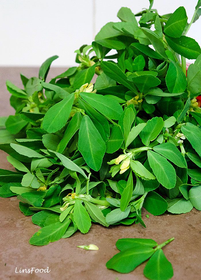 Fenugreek(Methi)