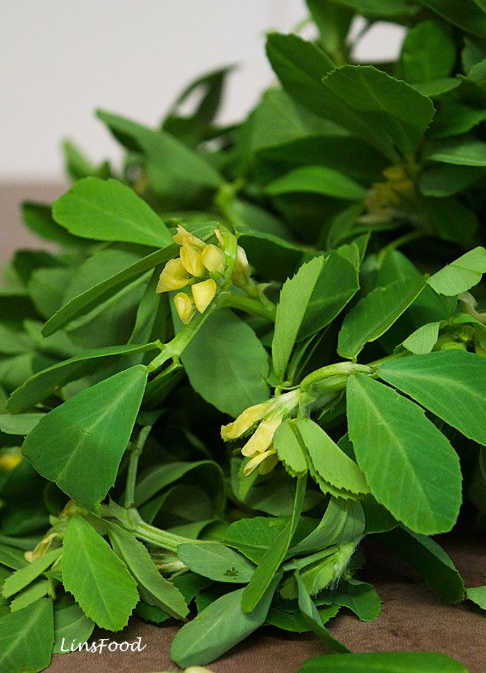 Fenugreek(Methi)