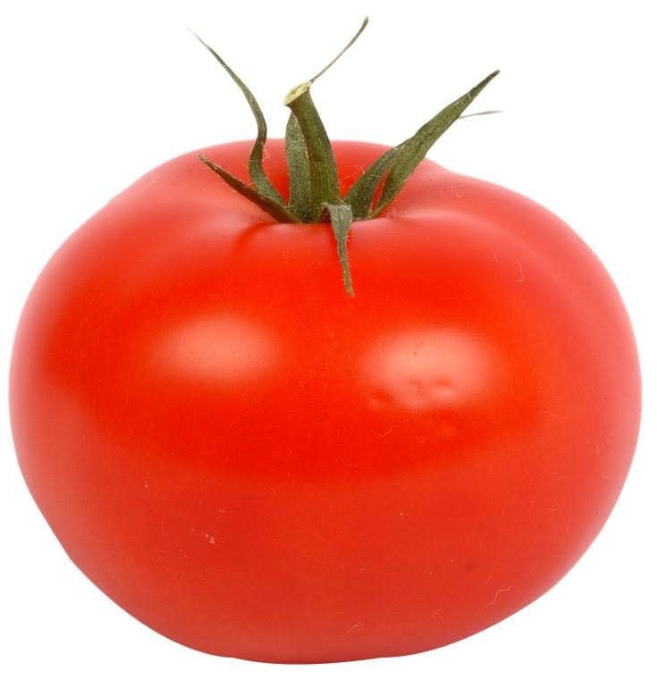 Tomato