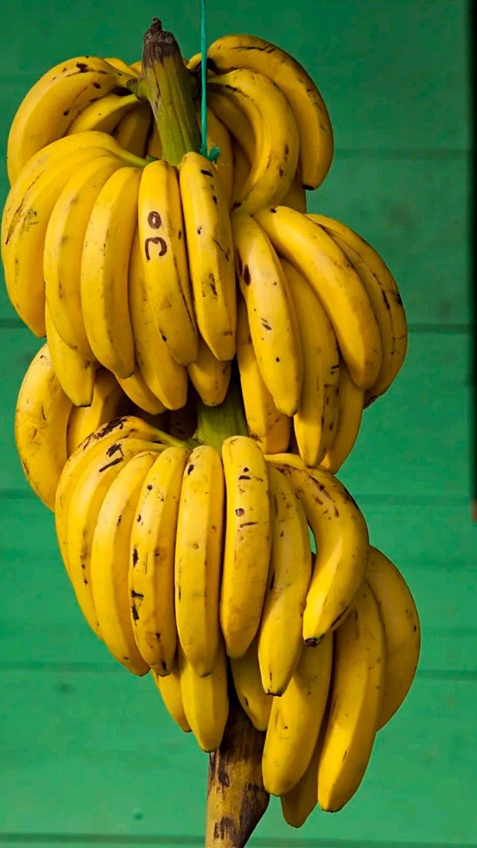 Banana(kila)