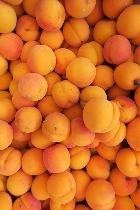 Apricot(khubani)