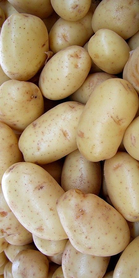 Potato(Alu)