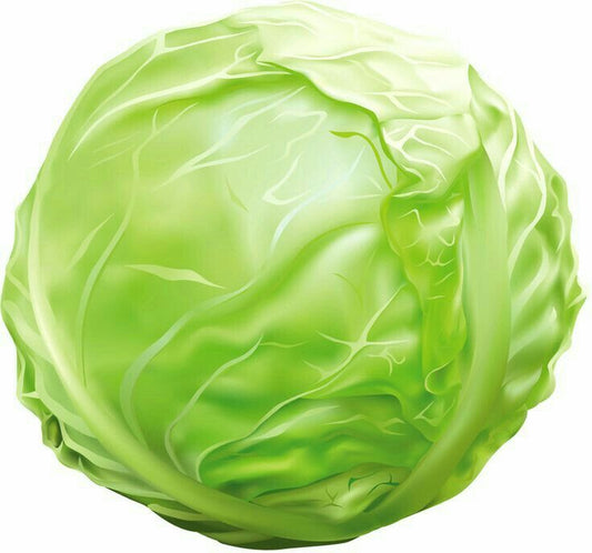 Cabbage(Bnd Gobi)